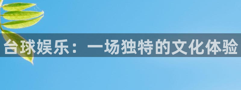 富邦娱乐：台球娱乐：一场独特的文化体验