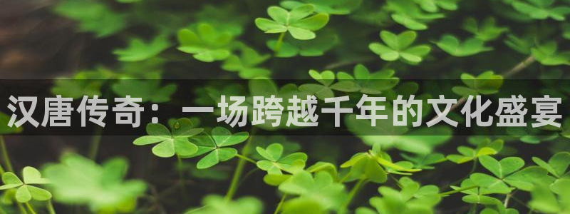 富邦娱乐：汉唐传奇：一场跨越千年的文化盛宴