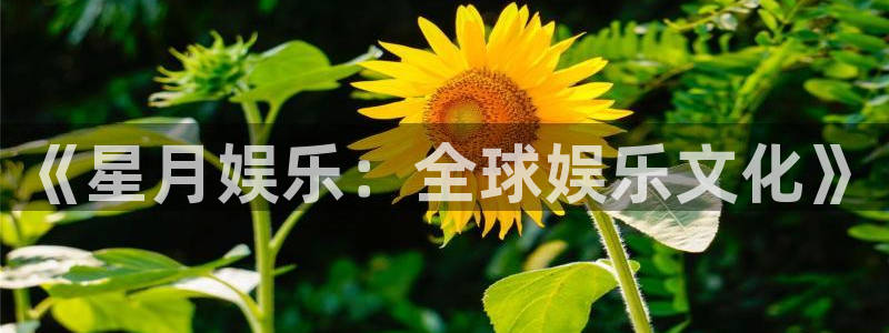 富邦娱乐：《星月娱乐：全球娱乐文化》