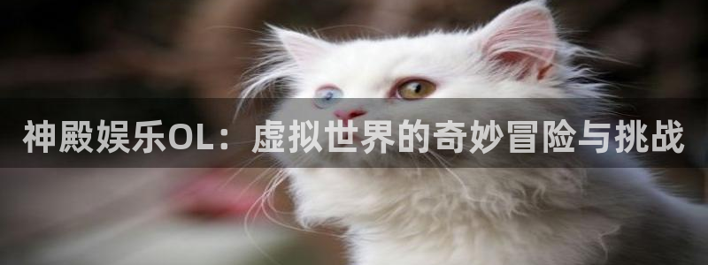 富邦娱乐：神殿娱乐OL：虚拟世界的奇妙冒险与挑战