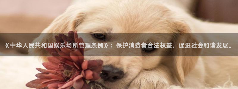 富邦娱乐：《中华人民共和国娱乐场所管理条例》：保护消费者合法权益，促进社会和谐发展。